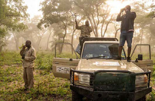 People searching for wild cats from a truck