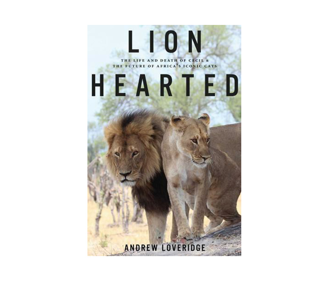 Lion Hearted: The Life and Death of Cecil & the Future of Africa's Iconic Cats