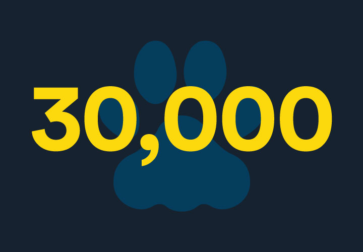 30,000