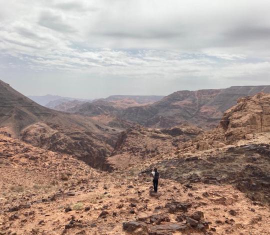 Saudi Arabia Landscape