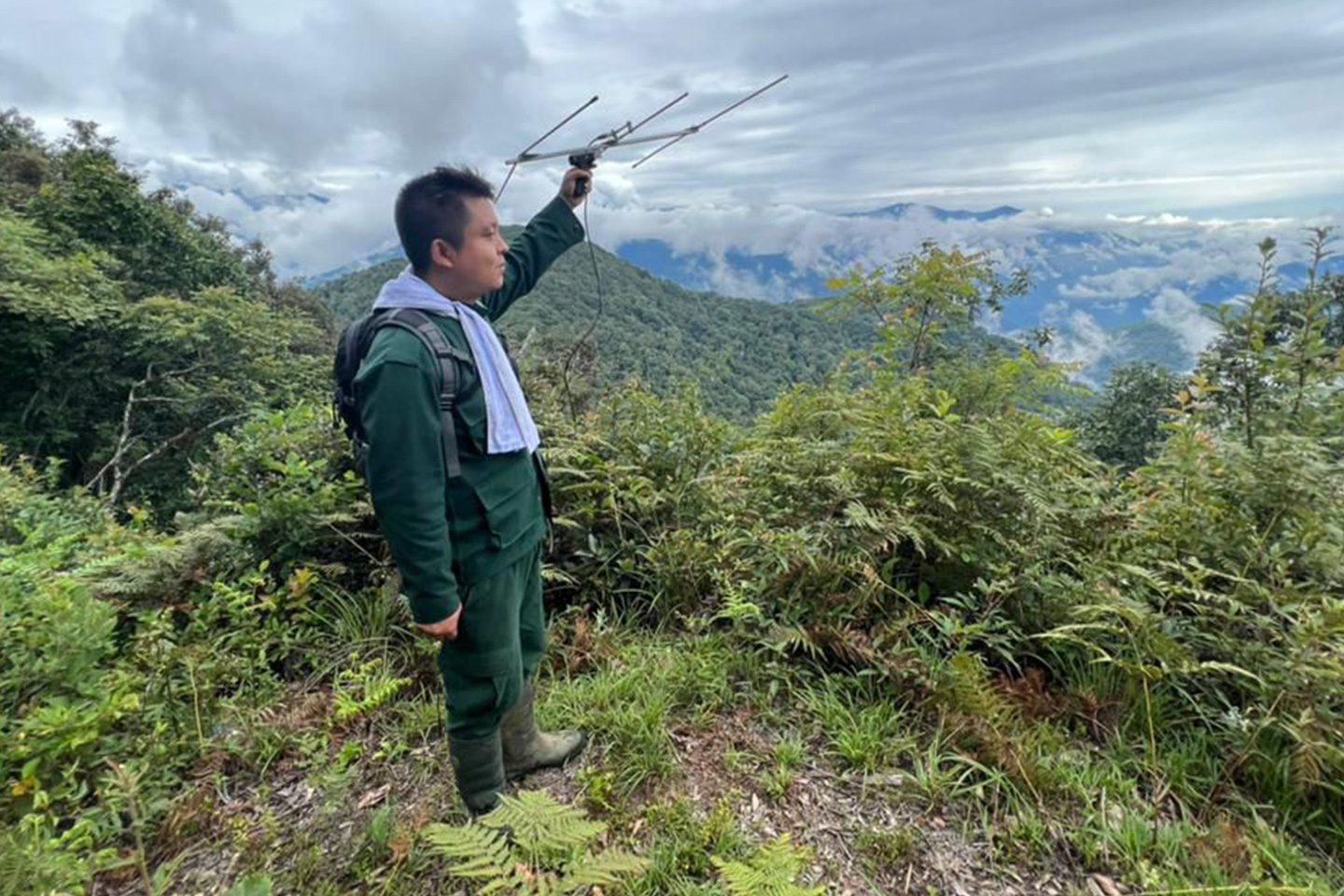 Ph.D. Student Lungten Dorji looking for wild cats with radio antenna