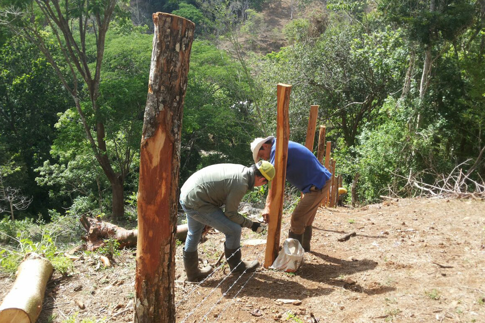 Farmers implementing Anti-predatory fencing