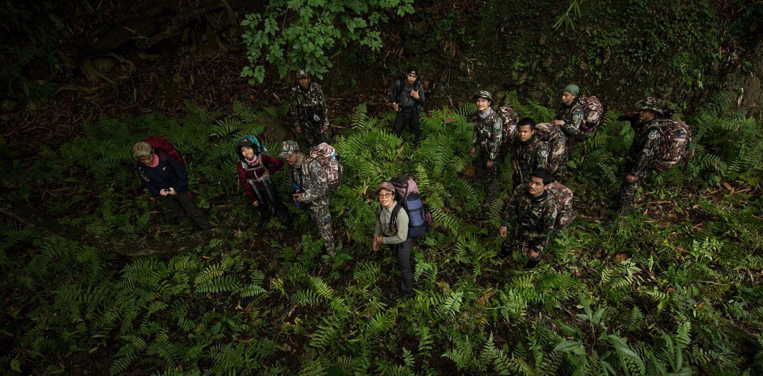 Wildlife rangers from Thailand's Department of National Parks, Wildlife and Plant Conservation, and Panthera trek through dense undergrowth in Thailand