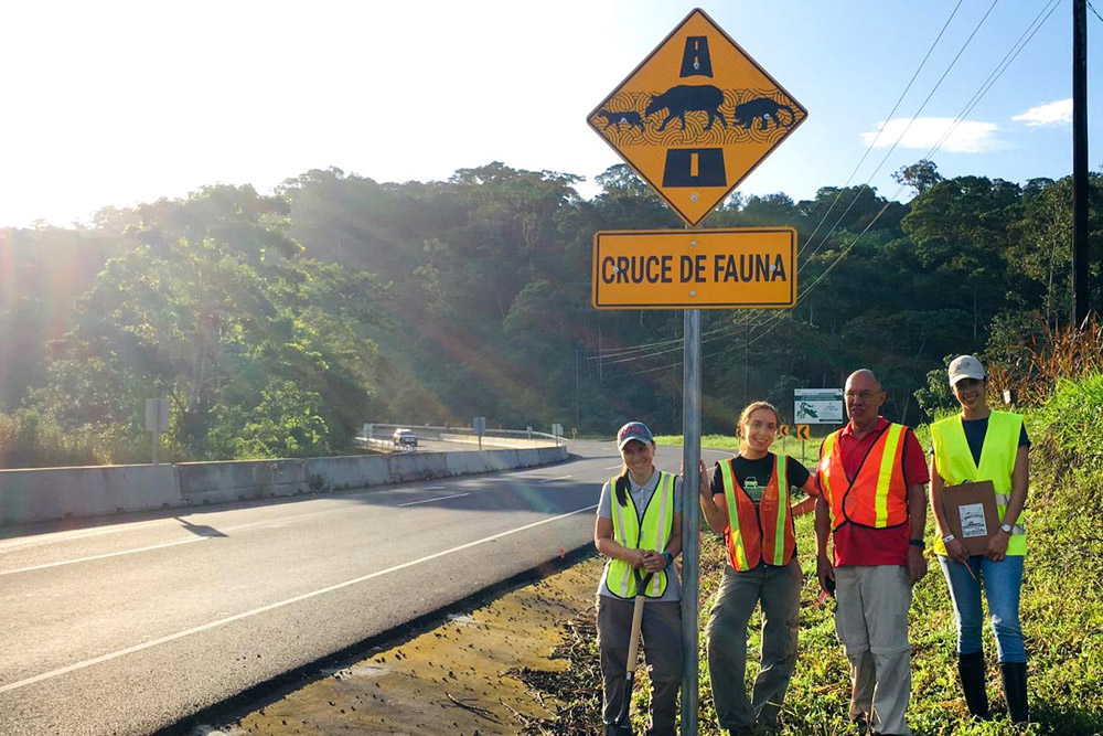 Panthera staff near road sign